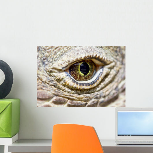 Komodo Dragon Eye Wall Decal
