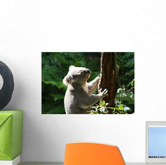Koalabar Wall Decal