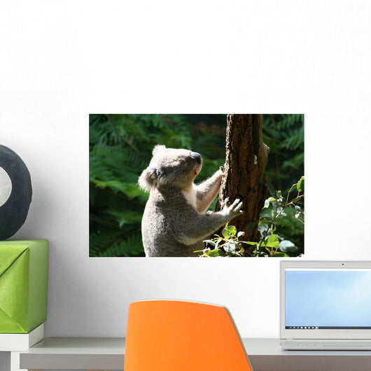 Koalabar Wall Decal
