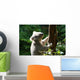Koalabar Wall Decal
