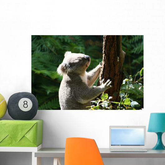 Koalabar Wall Decal