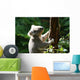Koalabar Wall Decal