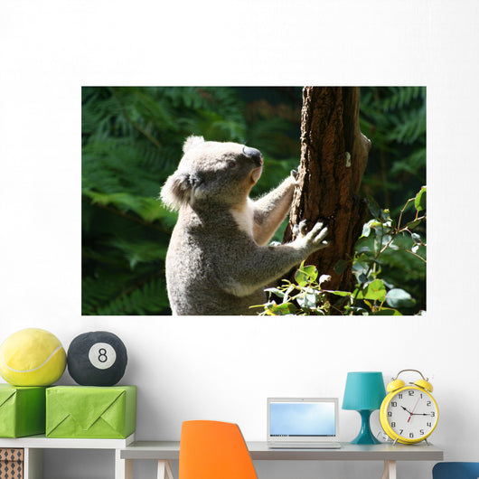 Koalabar Wall Decal
