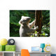 Koalabar Wall Decal