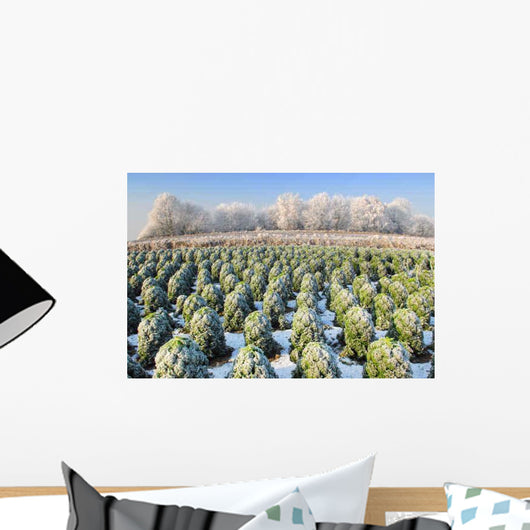 Bare Field Holland Winter Wall Decal