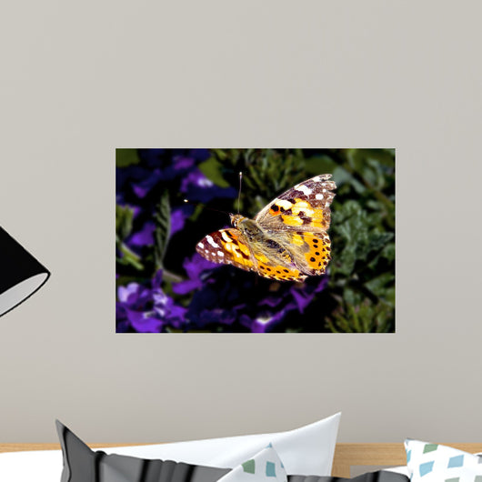 Colorful Butterfly Wall Decal