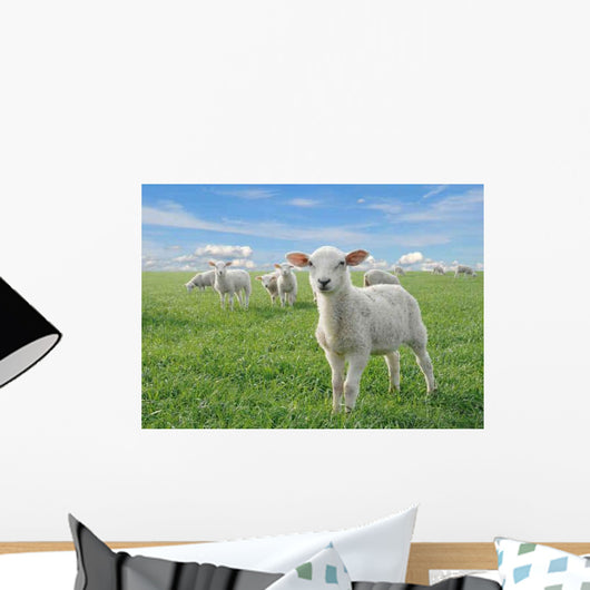 Cute Little Lambs Wall Decal