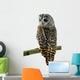 Tawny Owl Wall Decal