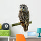 Tawny Owl Wall Decal