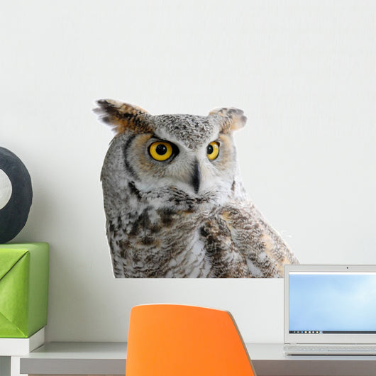 Canadian Owl Wall Decal