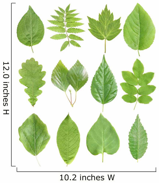 Green Leaves Wall Stickers