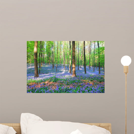 Bluebell Hyacinths Hallerbos Belgium Wall Decal Design 2