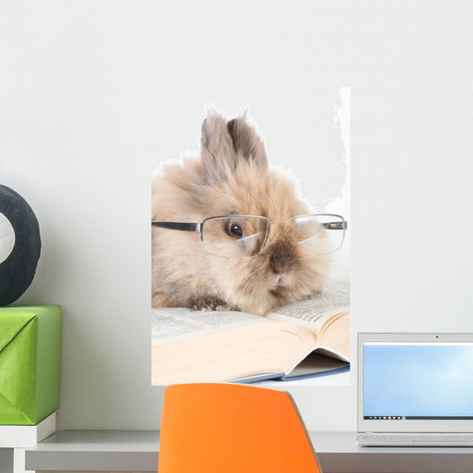 Brown Bunny with Glasses Wall Decal