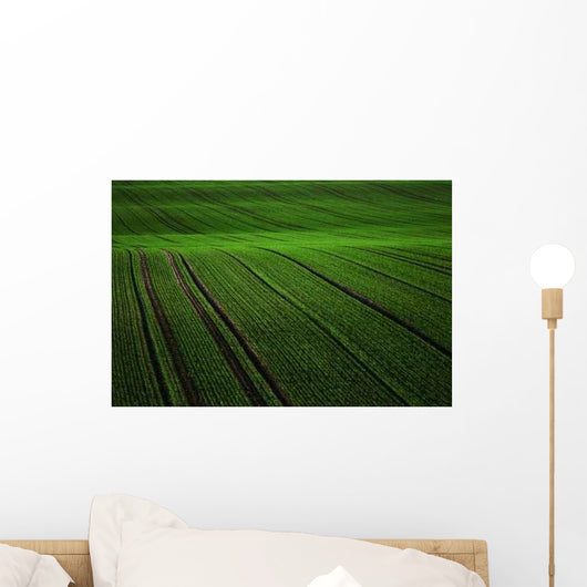 Green Rug Wall Decal