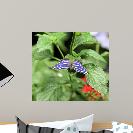 Blue and White Spot Wall Decal