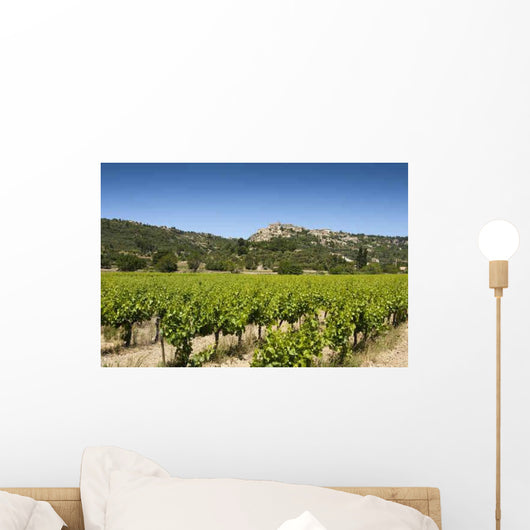 Vineyard with Gordes Wall Decal