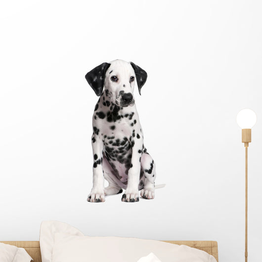 Dalmatian Puppy Wall Decal Design 2