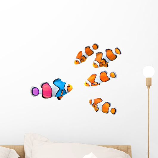 Singled out Clown Fish Wall Decal Sticker Set