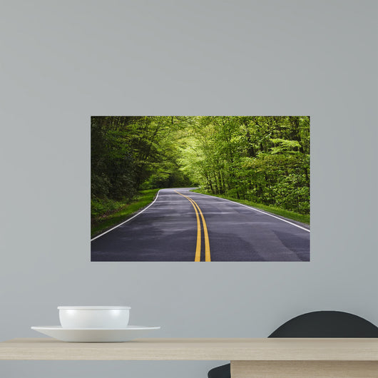 road with trees on both sides Wall Mural