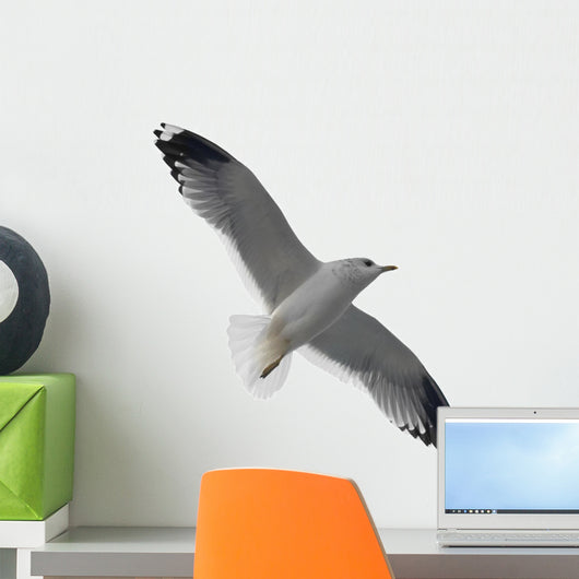Flying Seagull Wall Decal