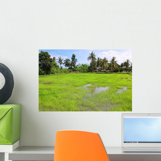 Young Paddy Wall Decal