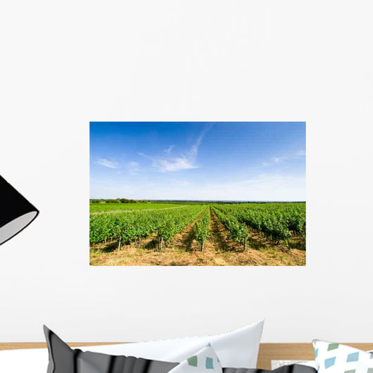 Vines Curbs Wall Decal Design 4