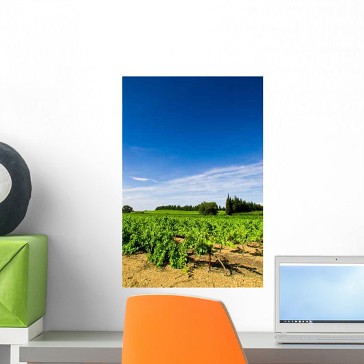 Vines Curbs Wall Decal Design 3