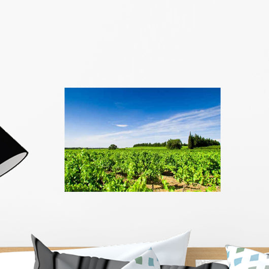 Vines Curbs Wall Decal Design 2