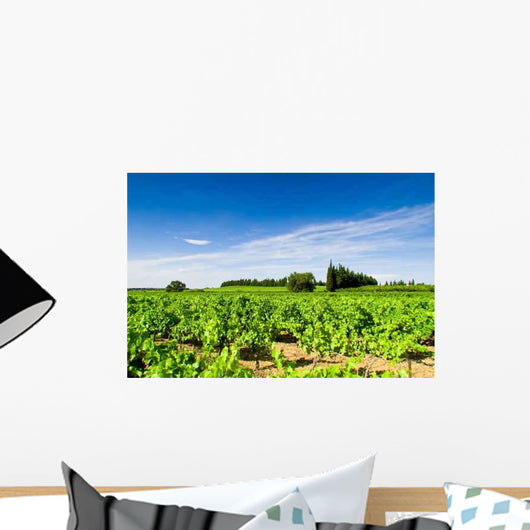 Vines Curbs Wall Decal Design 1