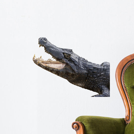 Alligator White Wall Decal