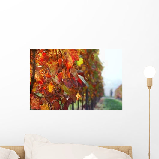 Autumn Vineyard Wall Decal