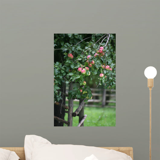 Fruity Apple Tree Wall Decal