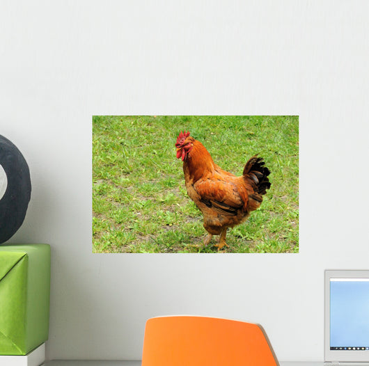 Rooster Wall Decal