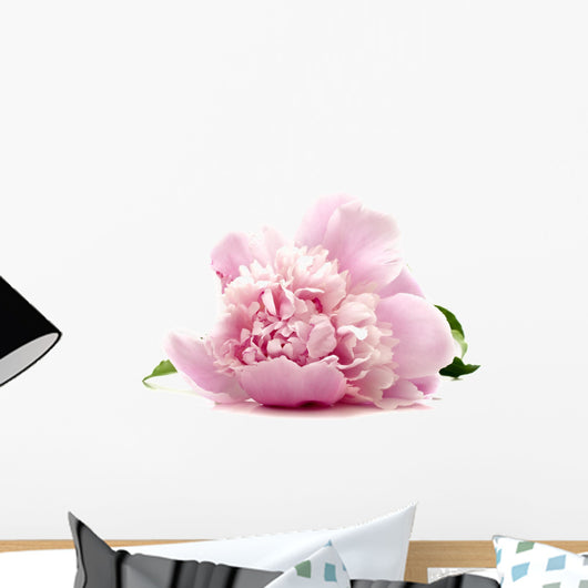 Pink Peony Wall Decal