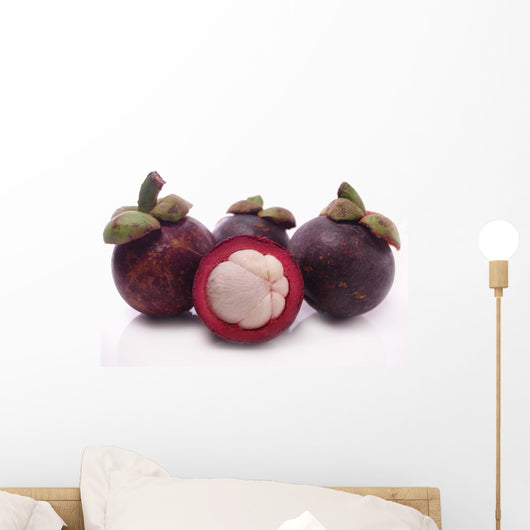 Mangosteen Wall Decal