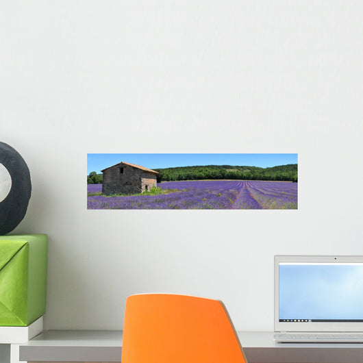 French Lavender Fields Wall Decal Panoramic