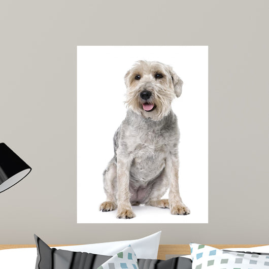 Bastard panting (10 years old) sitting Wall Decal