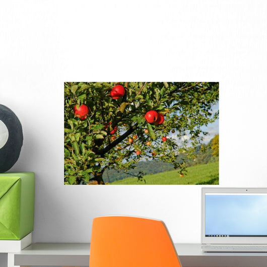 Apples Tree Wall Decal