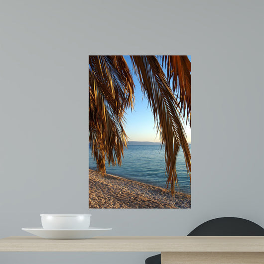 Palm Tree on a Beach at Sunset Wall Mural