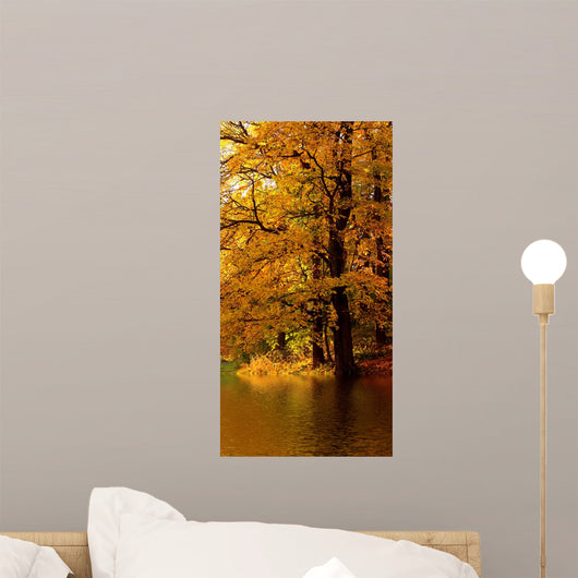 Autumn Tree Forest Wall Mural