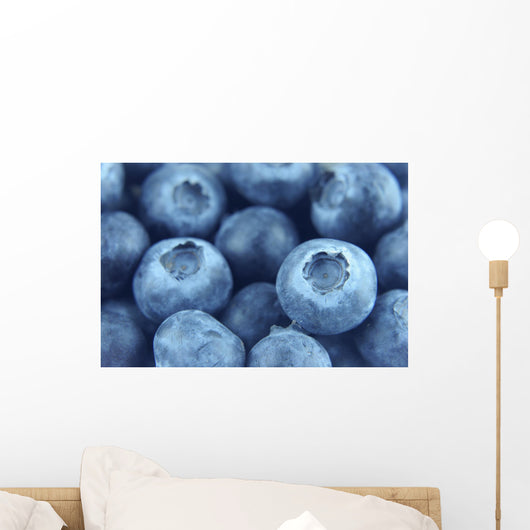 blueberries close up Wall Mural