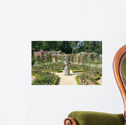 Paris rose garden Wall Mural