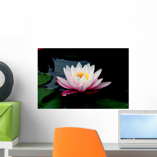 lotus Wall Mural