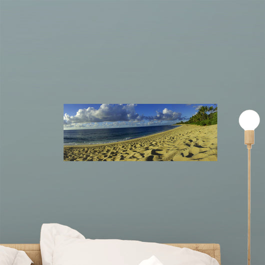 Hawaii Panoramic Wall Mural