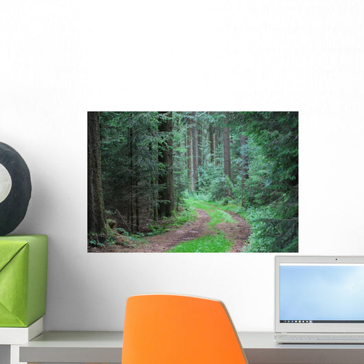 Forest road Wall Mural