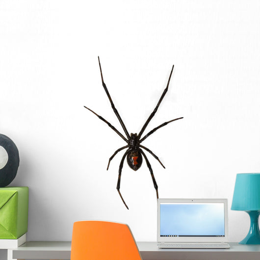 Black Widow Spider Wall Decal