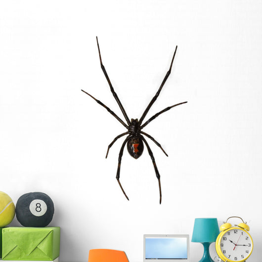 Black Widow Spider Wall Decal
