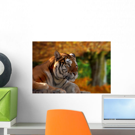 Bengal Tiger Wall Mural