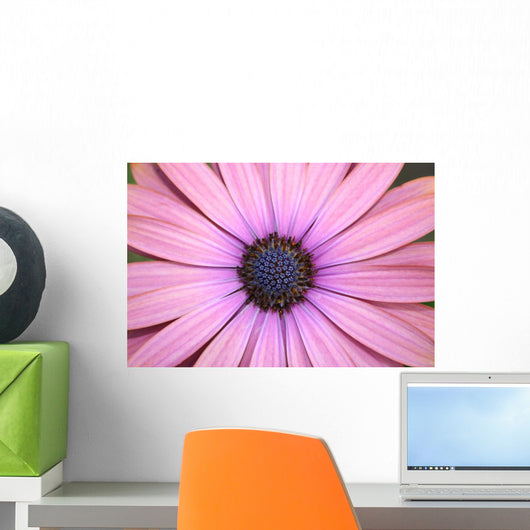 Daisy up and Personal Wall Mural