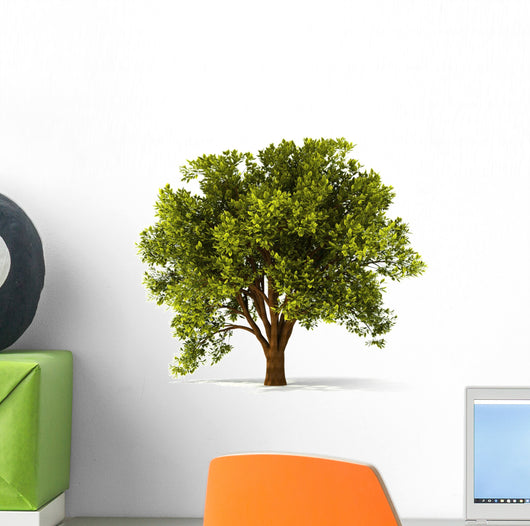3D Summerl Tree Wall Decal